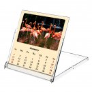 2026 CD-Style Desk Calendar 12 Months Calendar / Planner / (Birds)
