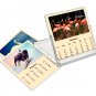 2026 CD-Style Desk Calendar 12 Months Calendar / Planner / (Birds)