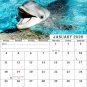2026 CD-Style Desk Calendar 12 Months Calendar / Planner / (Dophhins)