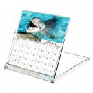 2026 CD-Style Desk Calendar 12 Months Calendar / Planner / (Dophhins)