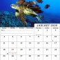 2026 CD-Style Desk Calendar 12 Months Calendar / Planner / (Turtles)