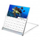 2026 CD-Style Desk Calendar 12 Months Calendar / Planner / (Turtles)