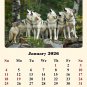 2026 CD-Style Desk Calendar 12 Months Calendar / Planner / (Wolves)