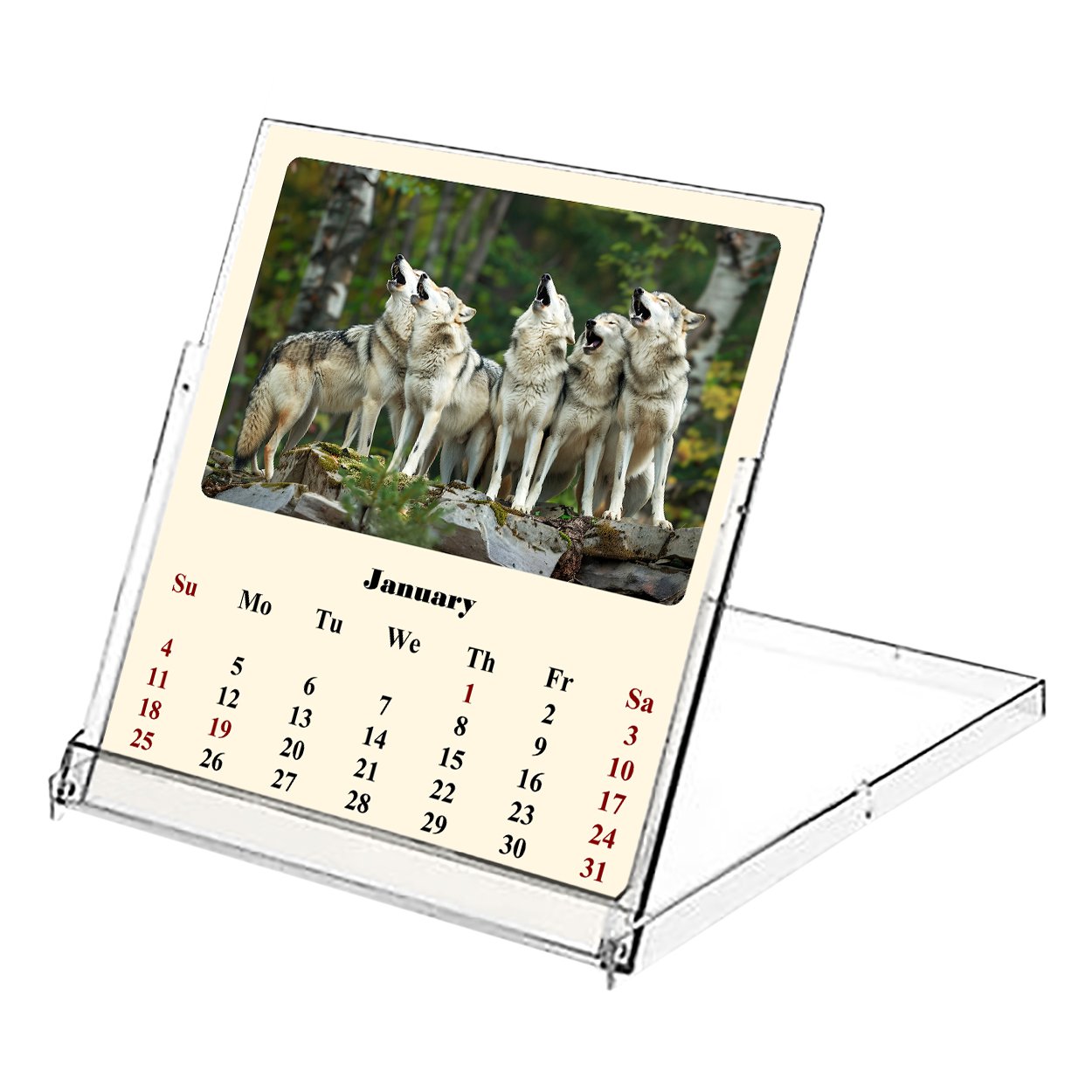 2026 CD-Style Desk Calendar 12 Months Calendar / Planner / (Wolves)