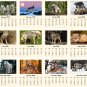2026 CD-Style Desk Calendar 12 Months Calendar / Planner / (Wolves)
