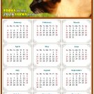 2026 Peel & Stick Calendar - Today is my Lucky Day Removable - Cat 03 (12"x 8")
