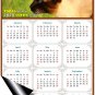 2026 Peel & Stick Calendar - Today is my Lucky Day Removable - Cat 03 (12"x 8")