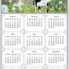 2026 Peel & Stick Calendar - Today is my Lucky Day Removable - Cat 05 (12"x 8")