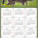 2026 Peel & Stick Calendar - Today is my Lucky Day Removable - Cat 09 (12"x 8")