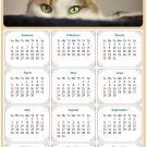 2026 Peel & Stick Calendar - Today is my Lucky Day Removable - Cat 012 (12"x 8")