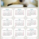 2026 Peel & Stick Calendar - Today is my Lucky Day Removable - Cat 013 (12"x 8")