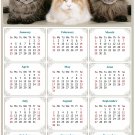 2026 Peel & Stick Calendar - Today is my Lucky Day Removable - Cat 015 (12"x 8")