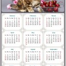 2026 Peel & Stick Calendar - Today is my Lucky Day Removable - Cat 016 (12"x 8")