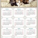 2026 Peel & Stick Calendar - Today is my Lucky Day Removable - Cat 021 (12"x 8") 2026 Peel & Stick Calendar - Today is my Lucky Day Removable - Cat 021 (12"x 8")