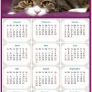 2026 Peel & Stick Calendar - Today is my Lucky Day Removable - Cat 022 (12"x 8")