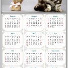 2026 Peel & Stick Calendar - Today is my Lucky Day Removable - Cat 025 (12"x 8")