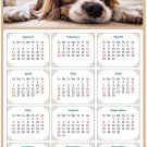 2026 Peel & Stick Calendar - Today is my Lucky Day Removable - Dogs 01 (9"x 6")