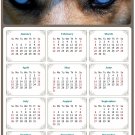 2026 Peel & Stick Calendar - Today is my Lucky Day Removable - Dogs 03 (9"x 6") 2026 Peel & Stick Calendar - Today is my Lucky Day Removable - Dogs 03 (9"x 6")