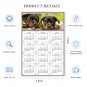 2026 Peel & Stick Calendar - Today is my Lucky Day Removable - Dogs 04 (9"x 6")
