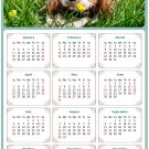 2026 Peel & Stick Calendar - Today is my Lucky Day Removable - Dogs 06 (9"x 6") 2026 Peel & Stick Calendar - Today is my Lucky Day Removable - Dogs 06 (9"x 6")