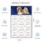 2026 Peel & Stick Calendar - Today is my Lucky Day Removable - Dogs 07 (9"x 6")