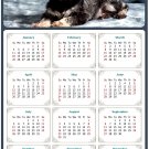 2026 Peel & Stick Calendar - Today is my Lucky Day Removable - Dogs 010 (9"x 6") 2026 Peel & Stick Calendar - Today is my Lucky Day Removable - Dogs 010 (9"x 6")
