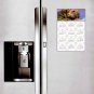 2026 Peel & Stick Calendar - Today is my Lucky Day Removable - Dogs 012 (9"x 6")
