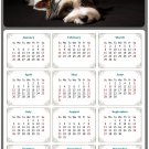 2026 Peel & Stick Calendar - Today is my Lucky Day Removable - Dogs 018 (9"x 6")