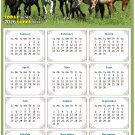2026 Peel & Stick Calendar - Today is my Lucky Day Removable - Horses 02 (12"x 8")