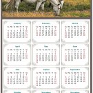 2026 Peel & Stick Calendar - Today is my Lucky Day Removable - Horses 013 (12"x 8")