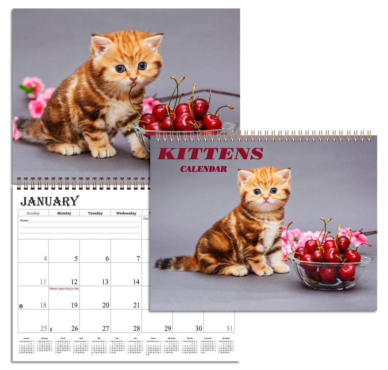 2026 Spiral-bound Wall Calendar (Kittens) - 12 Months Desktop / Wall Calendar/ Planner