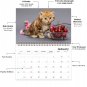 2026 Spiral-bound Wall Calendar (Kittens) - 12 Months Desktop / Wall Calendar/ Planner