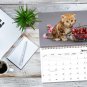 2026 Spiral-bound Wall Calendar (Kittens) - 12 Months Desktop / Wall Calendar/ Planner