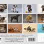 2026 Spiral-bound Wall Calendar (Puppies Dogs) - 12 Months Desktop / Wall Calendar/ Planner