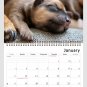 2026 Spiral-bound Wall Calendar (Puppies Dogs) - 12 Months Desktop / Wall Calendar/ Planner