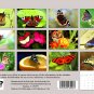 2026 Spiral-bound Wall Calendar (Butterfly) - 12 Months Desktop / Wall Calendar/ Planner