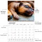 2026 Spiral-bound Wall Calendar (Puppies Dogs) - 12 Months Desktop (11x17)