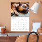 2026 Spiral-bound Wall Calendar (Puppies Dogs) - 12 Months Desktop (11x17)