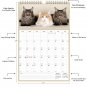 2026 Wall Calendar Spiral-bound Twin - 12 Months Planner 11" x 17" (Cats)