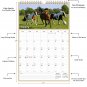 2026 Wall Calendar Spiral-bound Twin - 12 Months Planner 11" x 17" (Horses)