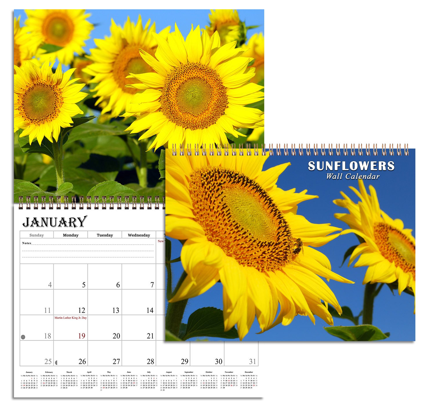 2026 Spiral-bound Wall Calendar (Sunflowers) - 12 Months Desktop (11x17)
