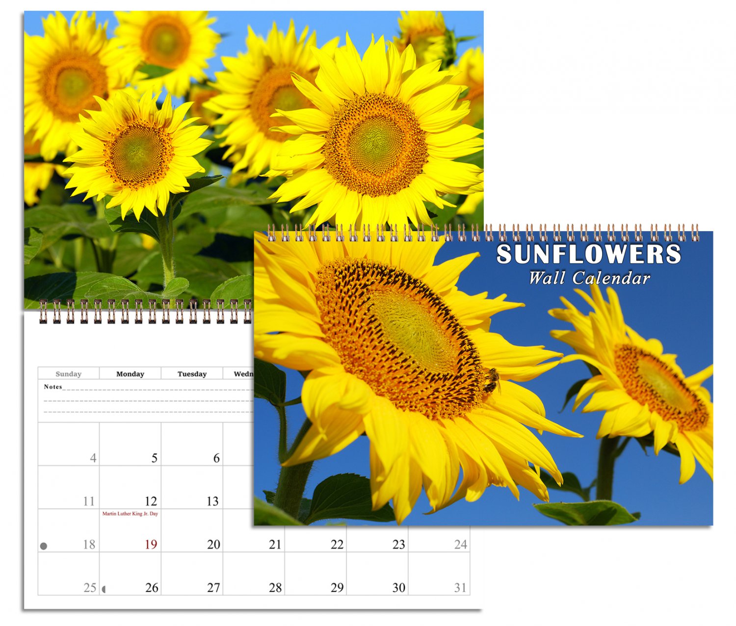 2026 Spiral-bound Wall Calendar (Sunflowers) - 12 Months Desktop / Wall Calendar/ Planner