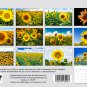 2026 Spiral-bound Wall Calendar (Sunflowers) - 12 Months Desktop / Wall Calendar/ Planner