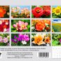 2026 Spiral-bound Wall Calendar (Flowers) - 12 Months Desktop (11x17)