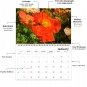 2026 Spiral-bound Wall Calendar (Flowers) - 12 Months Desktop / Wall Calendar/ Planner