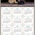 2026 Peel & Stick Calendar - Today is my Lucky Day Removable - Dogs 02 (12"x 8")