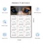 2026 Peel & Stick Calendar - Today is my Lucky Day Removable - Dogs 03 (12"x 8")