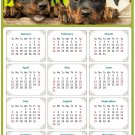 2026 Peel & Stick Calendar - Today is my Lucky Day Removable - Dogs 04 (12"x 8")