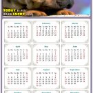 2026 Peel & Stick Calendar - Today is my Lucky Day Removable - Dogs 012 (12"x 8")