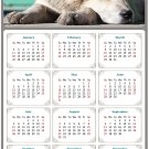 2026 Peel & Stick Calendar - Today is my Lucky Day Removable - Dogs 015 (12"x 8") 2026 Peel & Stick Calendar - Today is my Lucky Day Removable - Dogs 015 (12"x 8")